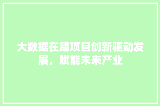 大数据在建项目创新驱动发展，赋能未来产业