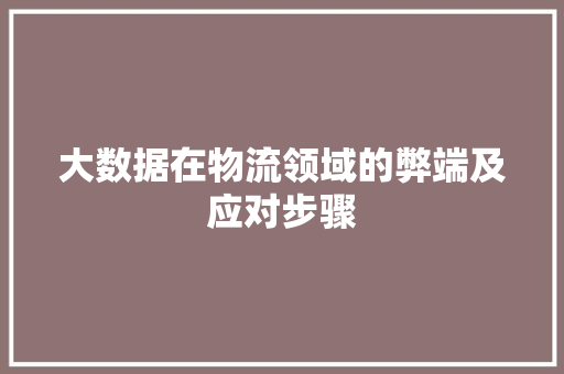 大数据在物流领域的弊端及应对步骤