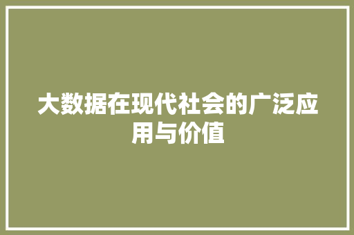 大数据在现代社会的广泛应用与价值