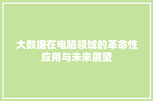 大数据在电脑领域的革命性应用与未来展望