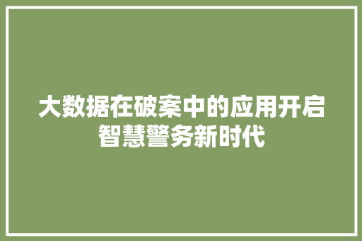 大数据在破案中的应用开启智慧警务新时代