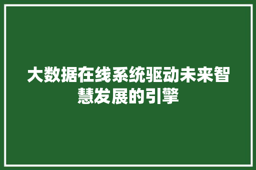 大数据在线系统驱动未来智慧发展的引擎