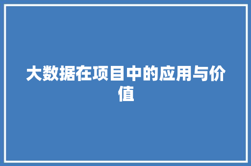 大数据在项目中的应用与价值
