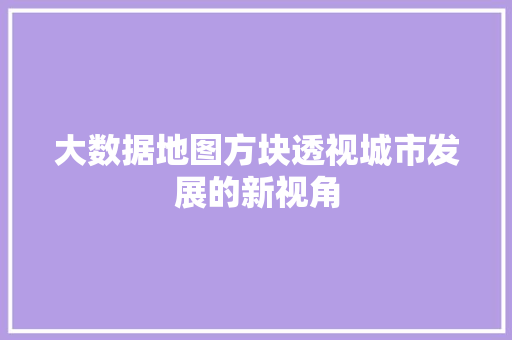 大数据地图方块透视城市发展的新视角