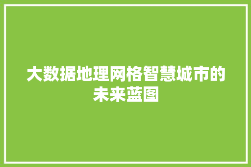 大数据地理网格智慧城市的未来蓝图