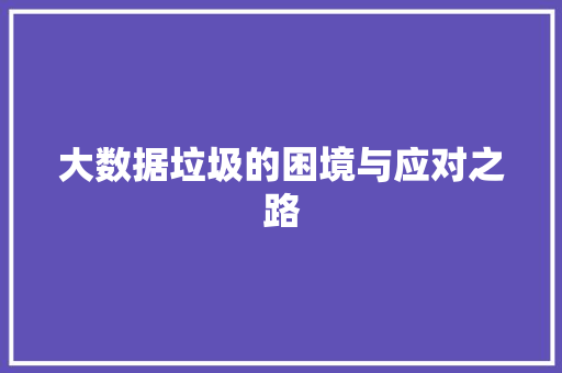 大数据垃圾的困境与应对之路