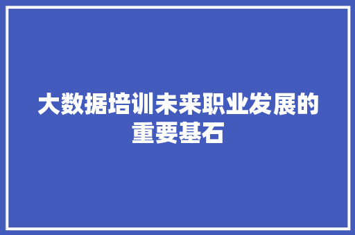 大数据培训未来职业发展的重要基石
