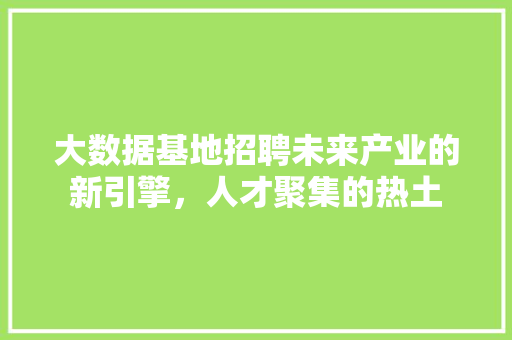 大数据基地招聘未来产业的新引擎，人才聚集的热土 网络技术