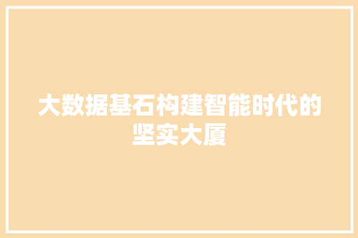 大数据基石构建智能时代的坚实大厦