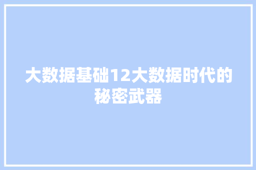 大数据基础12大数据时代的秘密武器