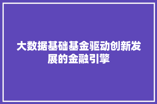 大数据基础基金驱动创新发展的金融引擎