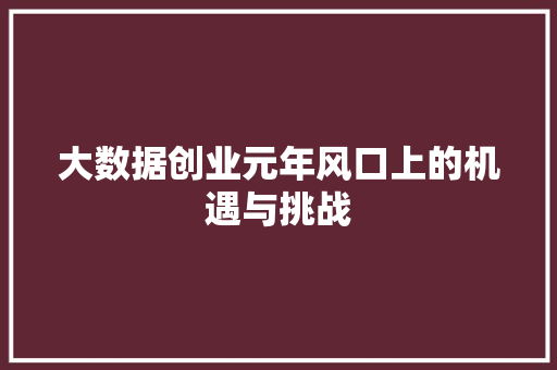 大数据创业元年风口上的机遇与挑战