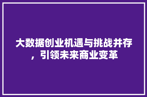 大数据创业机遇与挑战并存，引领未来商业变革