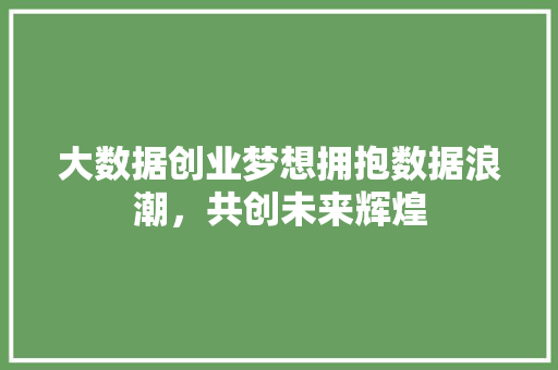 大数据创业梦想拥抱数据浪潮，共创未来辉煌
