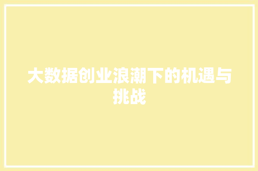 大数据创业浪潮下的机遇与挑战
