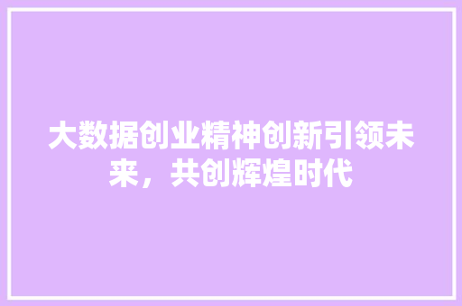 大数据创业精神创新引领未来，共创辉煌时代