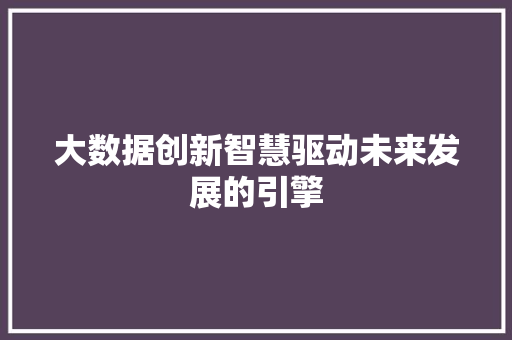 大数据创新智慧驱动未来发展的引擎