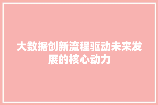 大数据创新流程驱动未来发展的核心动力