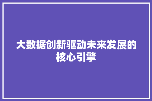 大数据创新驱动未来发展的核心引擎