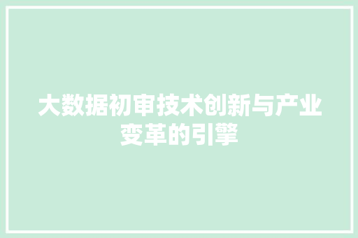大数据初审技术创新与产业变革的引擎