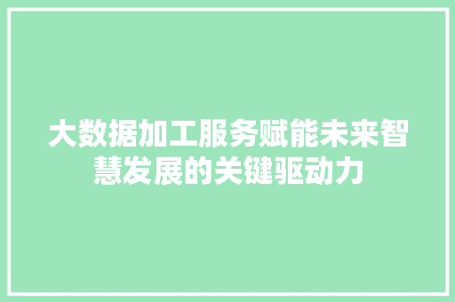 大数据加工服务赋能未来智慧发展的关键驱动力