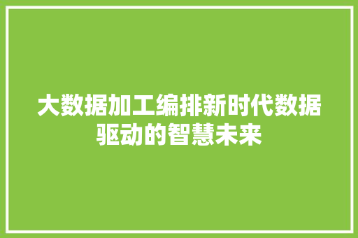 大数据加工编排新时代数据驱动的智慧未来