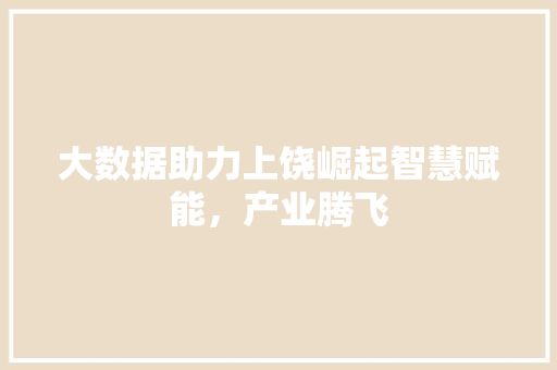 大数据助力上饶崛起智慧赋能，产业腾飞