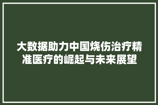 大数据助力中国烧伤治疗精准医疗的崛起与未来展望