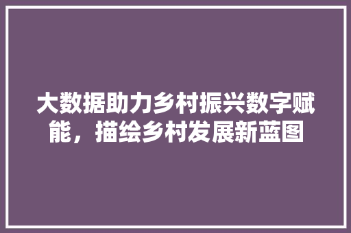 大数据助力乡村振兴数字赋能，描绘乡村发展新蓝图