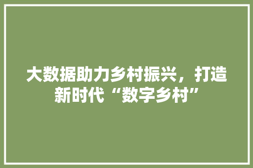 大数据助力乡村振兴，打造新时代“数字乡村”
