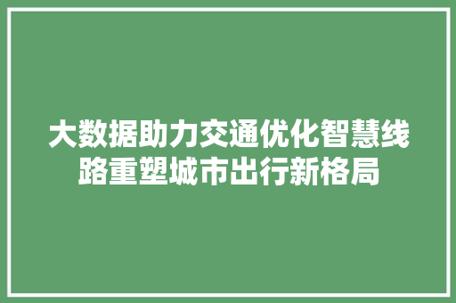 大数据助力交通优化智慧线路重塑城市出行新格局