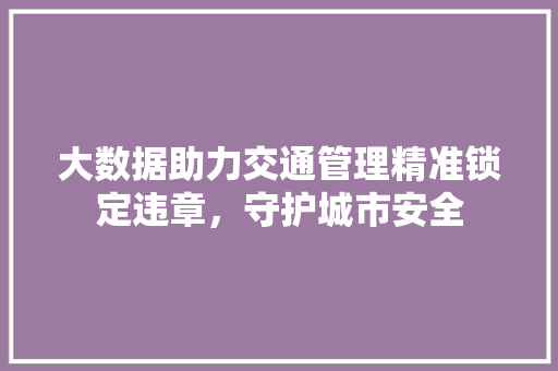 大数据助力交通管理精准锁定违章，守护城市安全