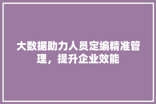 大数据助力人员定编精准管理，提升企业效能