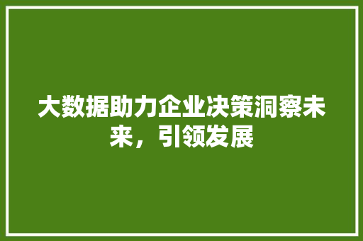 大数据助力企业决策洞察未来，引领发展