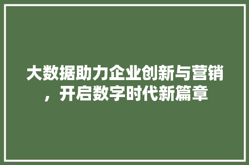 大数据助力企业创新与营销，开启数字时代新篇章