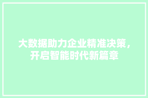 大数据助力企业精准决策，开启智能时代新篇章