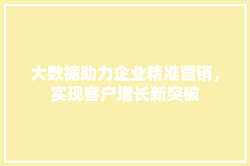 大数据助力企业精准营销，实现客户增长新突破