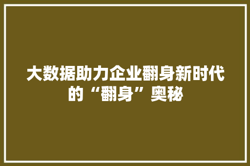 大数据助力企业翻身新时代的“翻身”奥秘