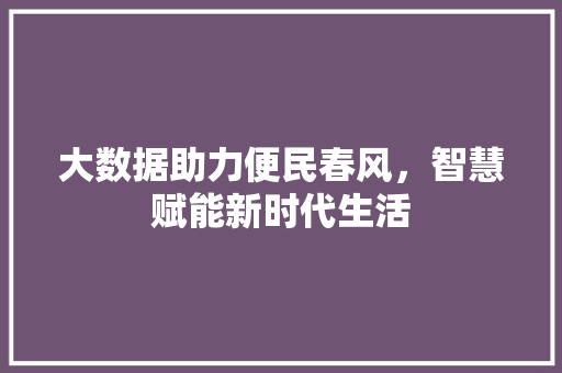 大数据助力便民春风，智慧赋能新时代生活