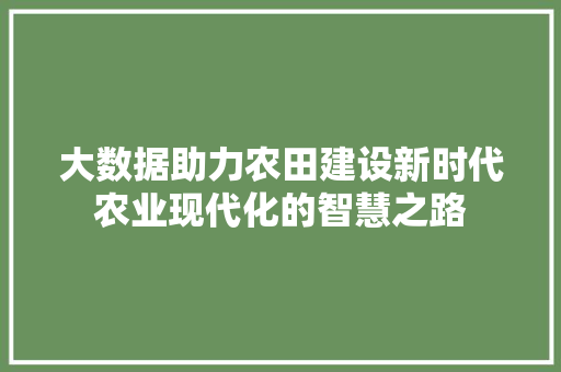 大数据助力农田建设新时代农业现代化的智慧之路