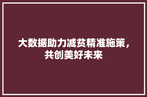 大数据助力减贫精准施策，共创美好未来