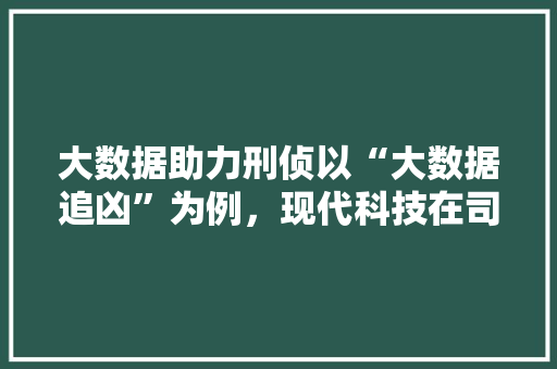 大数据助力刑侦以“大数据追凶”为例，现代科技在司法领域的神奇力量