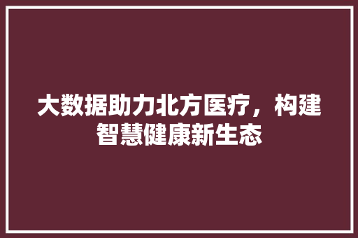 大数据助力北方医疗，构建智慧健康新生态