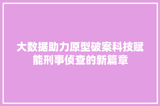大数据助力原型破案科技赋能刑事侦查的新篇章