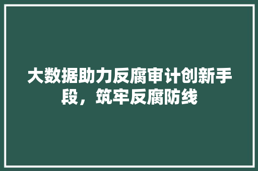 大数据助力反腐审计创新手段，筑牢反腐防线