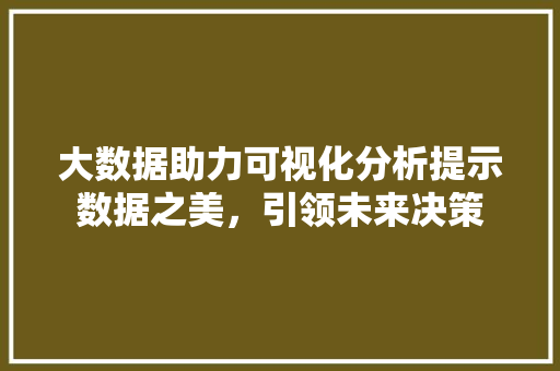大数据助力可视化分析提示数据之美，引领未来决策