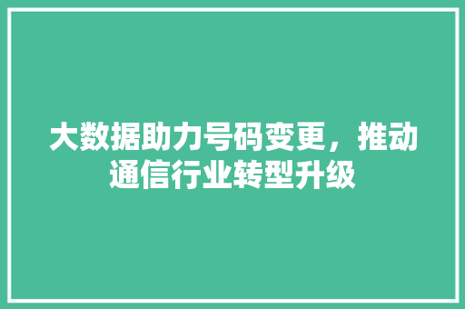 大数据助力号码变更，推动通信行业转型升级