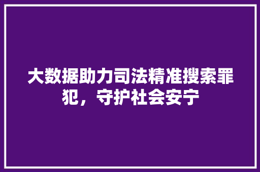 大数据助力司法精准搜索罪犯，守护社会安宁