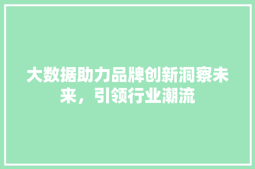 大数据助力品牌创新洞察未来，引领行业潮流