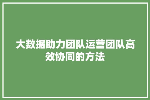 大数据助力团队运营团队高效协同的方法